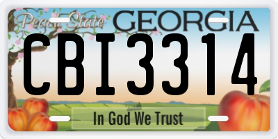 GA license plate CBI3314