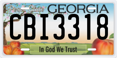 GA license plate CBI3318