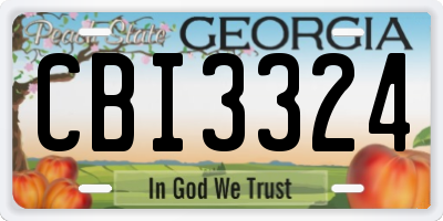 GA license plate CBI3324