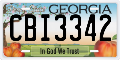 GA license plate CBI3342