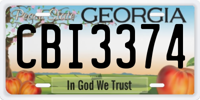 GA license plate CBI3374