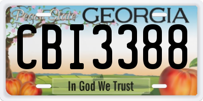 GA license plate CBI3388