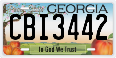 GA license plate CBI3442