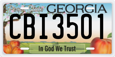 GA license plate CBI3501
