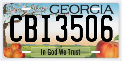 GA license plate CBI3506