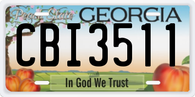 GA license plate CBI3511