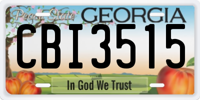 GA license plate CBI3515