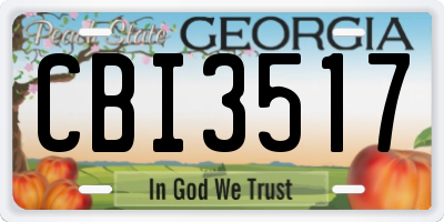 GA license plate CBI3517