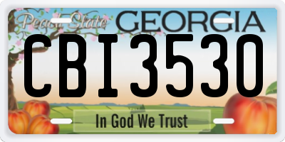 GA license plate CBI3530