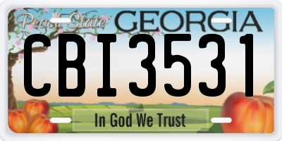 GA license plate CBI3531