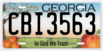 GA license plate CBI3563