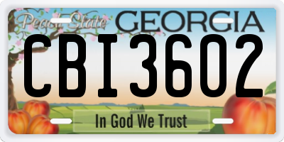 GA license plate CBI3602