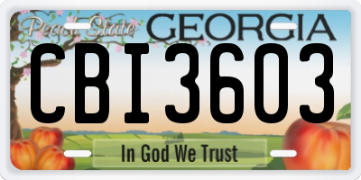 GA license plate CBI3603
