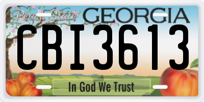 GA license plate CBI3613