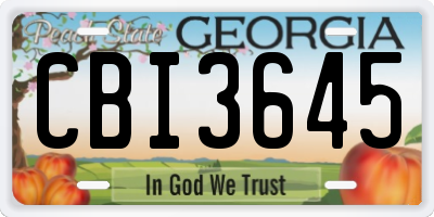 GA license plate CBI3645