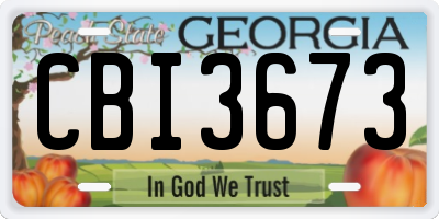 GA license plate CBI3673