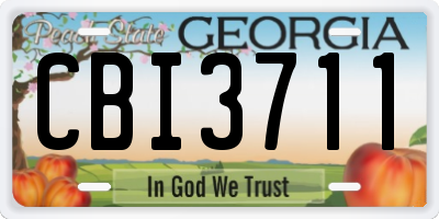 GA license plate CBI3711