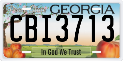 GA license plate CBI3713