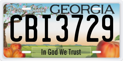 GA license plate CBI3729