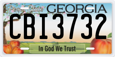 GA license plate CBI3732