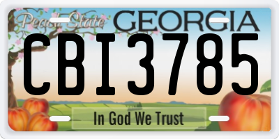 GA license plate CBI3785