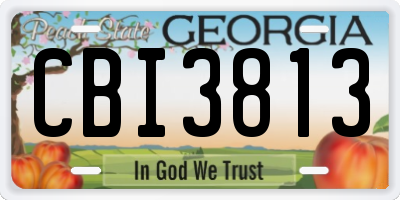 GA license plate CBI3813