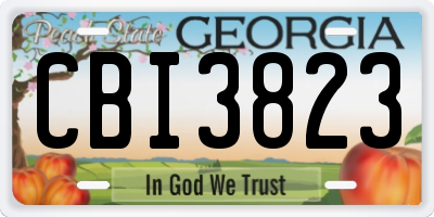 GA license plate CBI3823