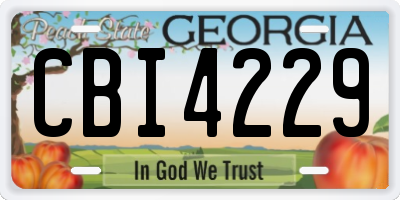 GA license plate CBI4229
