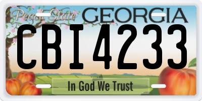 GA license plate CBI4233