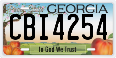 GA license plate CBI4254