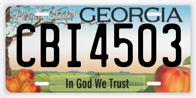 GA license plate CBI4503