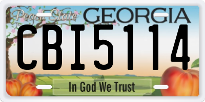 GA license plate CBI5114