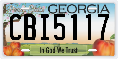 GA license plate CBI5117