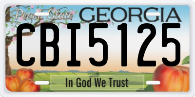 GA license plate CBI5125
