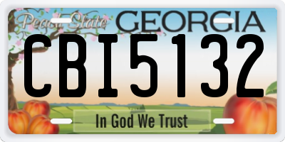 GA license plate CBI5132