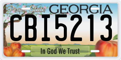 GA license plate CBI5213