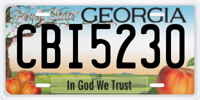 GA license plate CBI5230