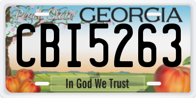 GA license plate CBI5263