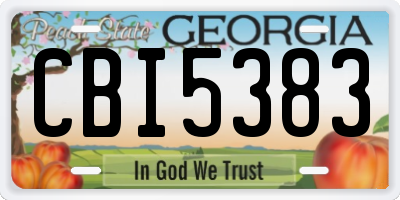 GA license plate CBI5383
