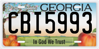 GA license plate CBI5993
