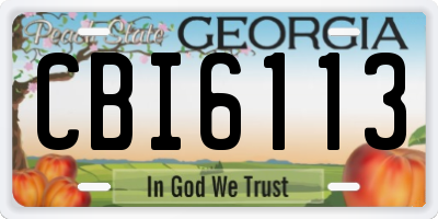 GA license plate CBI6113
