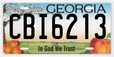 GA license plate CBI6213
