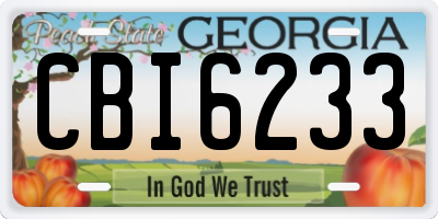 GA license plate CBI6233