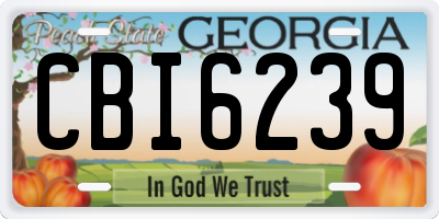 GA license plate CBI6239