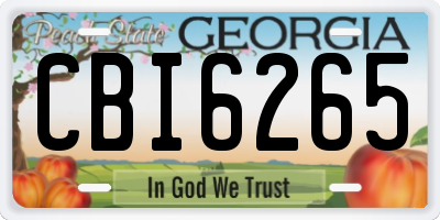 GA license plate CBI6265