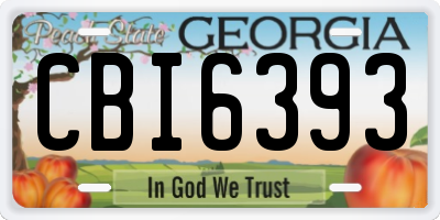 GA license plate CBI6393