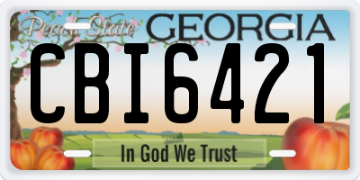GA license plate CBI6421