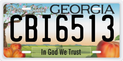 GA license plate CBI6513