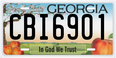 GA license plate CBI6901