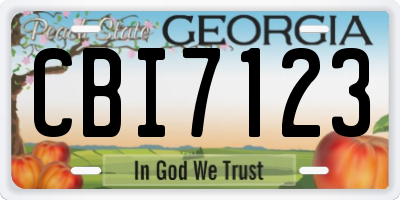GA license plate CBI7123